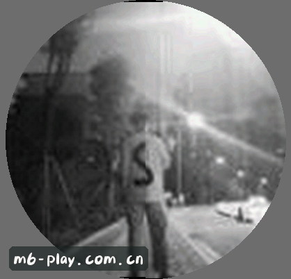 刘总